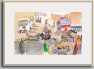 Margaret Kennedy   "Sacred Cows and Tour Buses, Jaipur, India"   2007   14" x 21&frac12;"
